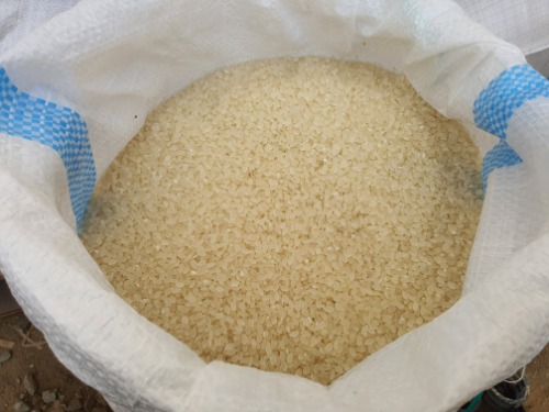 맛있는 쌀 20kg(품종:주남)